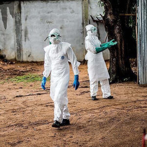 kolera 50 can aldi U62jq2ut