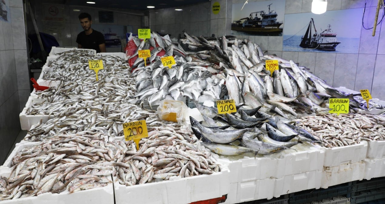 hamsi istavrit barbun ve mezgit bollugu basladi tezgahlarda fiyatlar 100 liradan basliyor gdbksAWb