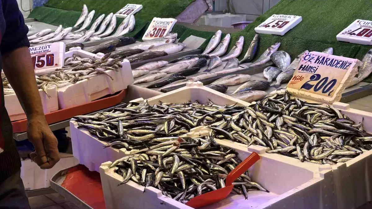 hamsi tezgahlarda palamutun yerini aldi vpkjYvyf.jpg