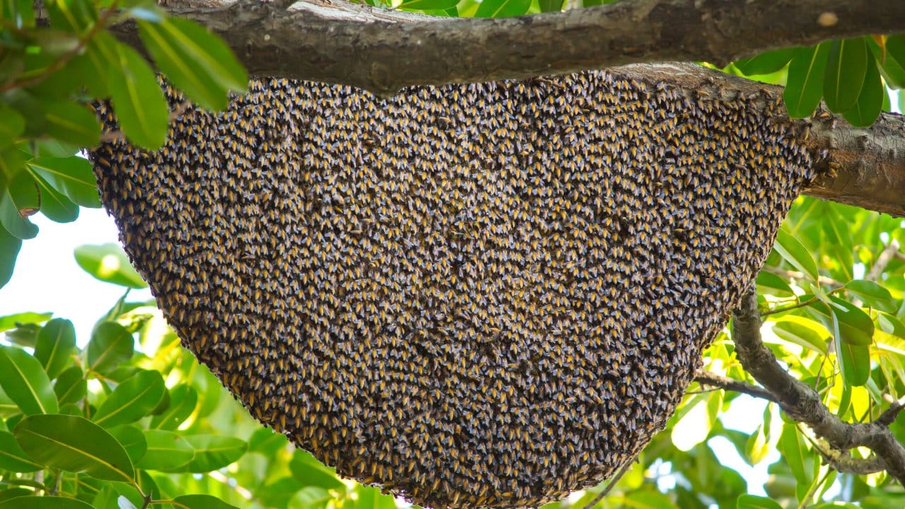 bingolde ureticilere yuzde 75 hibe verildi NYi62WWg.jpg