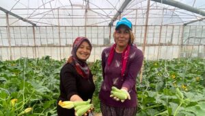 35-donumden-avrupaya-ihracat-kilosu-50-tlye-dustu-Cqq5WOW3