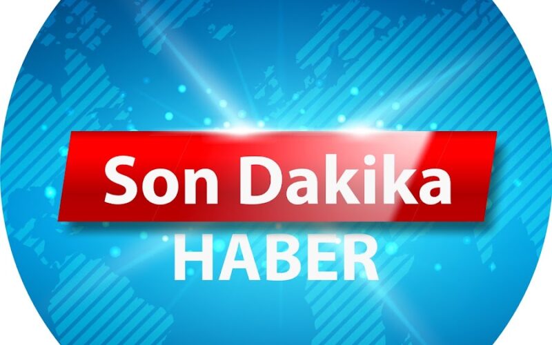 İstanbul Ormanlarına Erişim 15 Ekim’e Kadar Yasaklandı